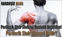 Periferik Sinir Sistemi Hastalık Belirtileri