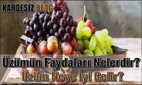 Üzümün Faydaları Nelerdir