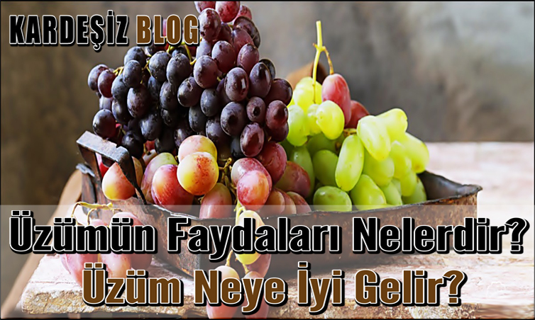 Üzümün Faydaları Nelerdir