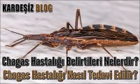 Chagas Hastalığı Belirtileri Nelerdir