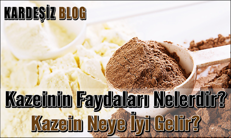 Kazeinin Faydaları Nelerdir