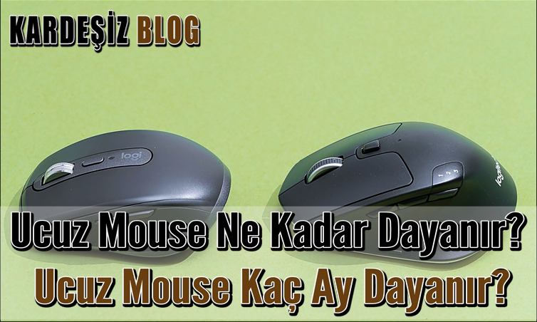 Ucuz Mouse Ne Kadar Dayanır