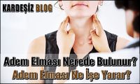 Adem Elması Nerede Bulunur