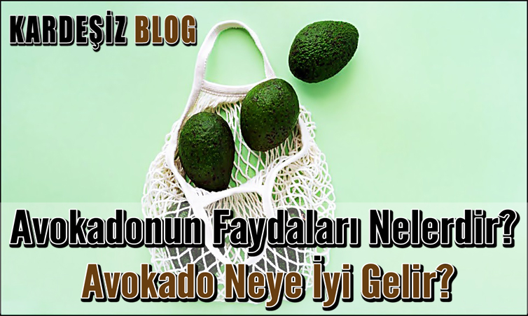 Avokadonun Faydaları Nelerdir