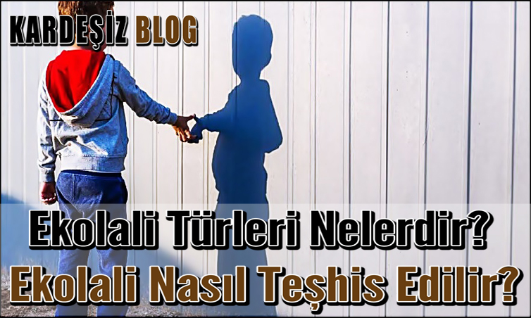 Ekolali Türleri Nelerdir