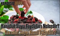 Karadut Suyu Faydaları Nelerdir