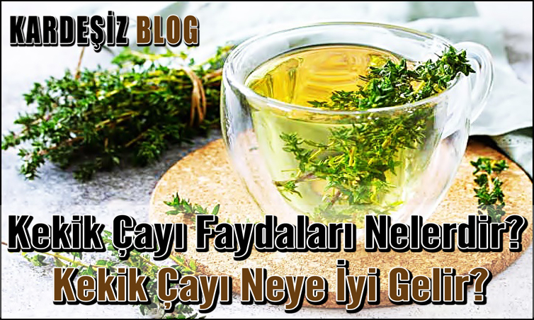 Kekik Çayı Faydaları Nelerdir