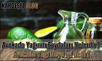 Avokado Yağının Faydaları Nelerdir