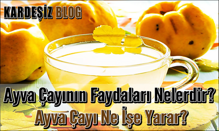 Ayva Çayının Faydaları Nelerdir