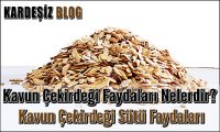 Kavun Çekirdeği Faydaları Nelerdir