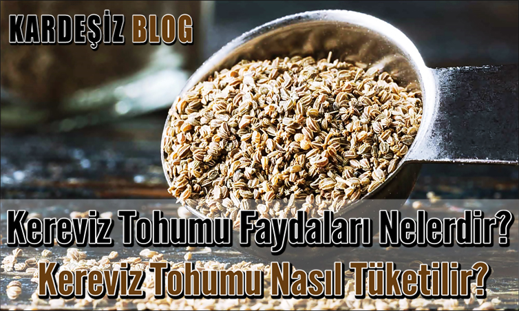 Kereviz Tohumu Faydaları Nelerdir