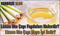 Limon Otu Çayı Faydaları Nelerdir