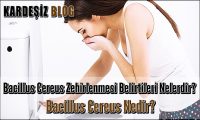 Bacillus Cereus Zehirlenmesi Belirtileri Nelerdir