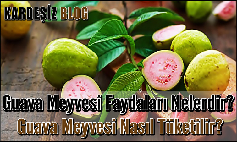 Guava Meyvesi Faydaları Nelerdir