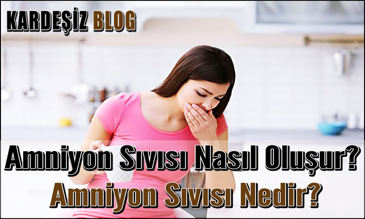 Amniyon Sıvısı Nasıl Oluşur