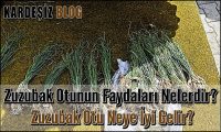 Zuzubak Otunun Faydaları Nelerdir