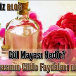 Gül Mayası Nedir