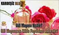 Gül Mayası Nedir