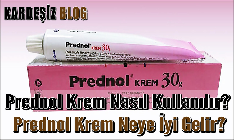 Prednol Krem Nasıl Kullanılır